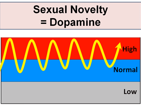sexual novelty keeps your dopamine level high during watching porn