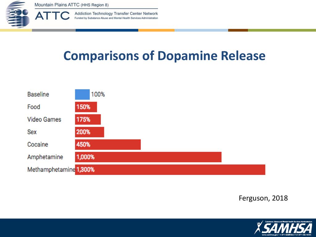 comparison of dopamine release during various activities