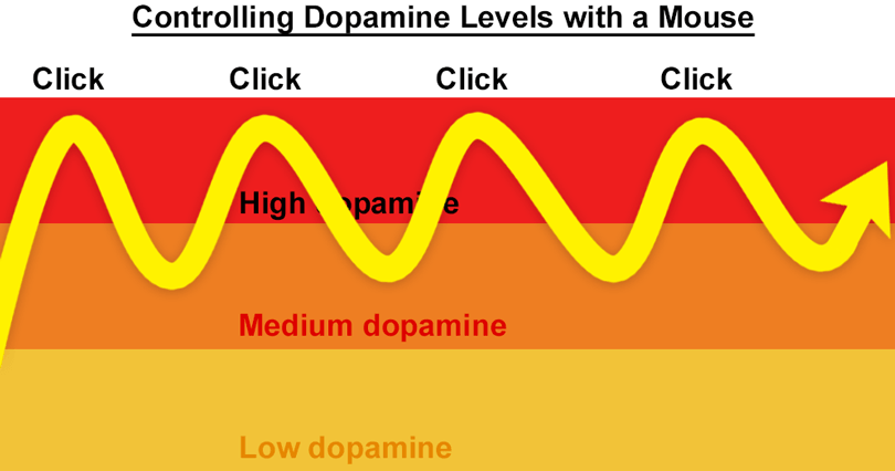controlling dopamine levels with click of a mouse