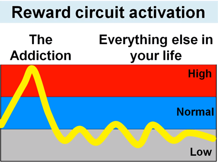 reward circiut activation